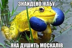 Нажмите на изображение для увеличения. 

Название:	qh1KumwQseQ.jpg 
Просмотров:	451 
Размер:	22.6 Кб 
ID:	206177