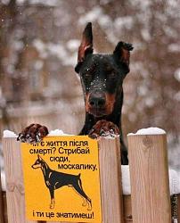 Нажмите на изображение для увеличения. 

Название:	_on5H0mUvb0.jpg 
Просмотров:	1399 
Размер:	51.1 Кб 
ID:	222254
