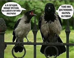 Нажмите на изображение для увеличения. 

Название:	12.jpg 
Просмотров:	332 
Размер:	64.3 Кб 
ID:	247669