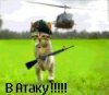 Аватар для Sarych